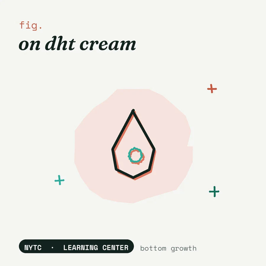 DHT cream for bottom growth — hand-drawn fig plate, NYTC Learning Center