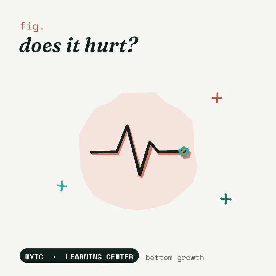 Does bottom growth hurt — hand-drawn fig plate, NYTC Learning Center