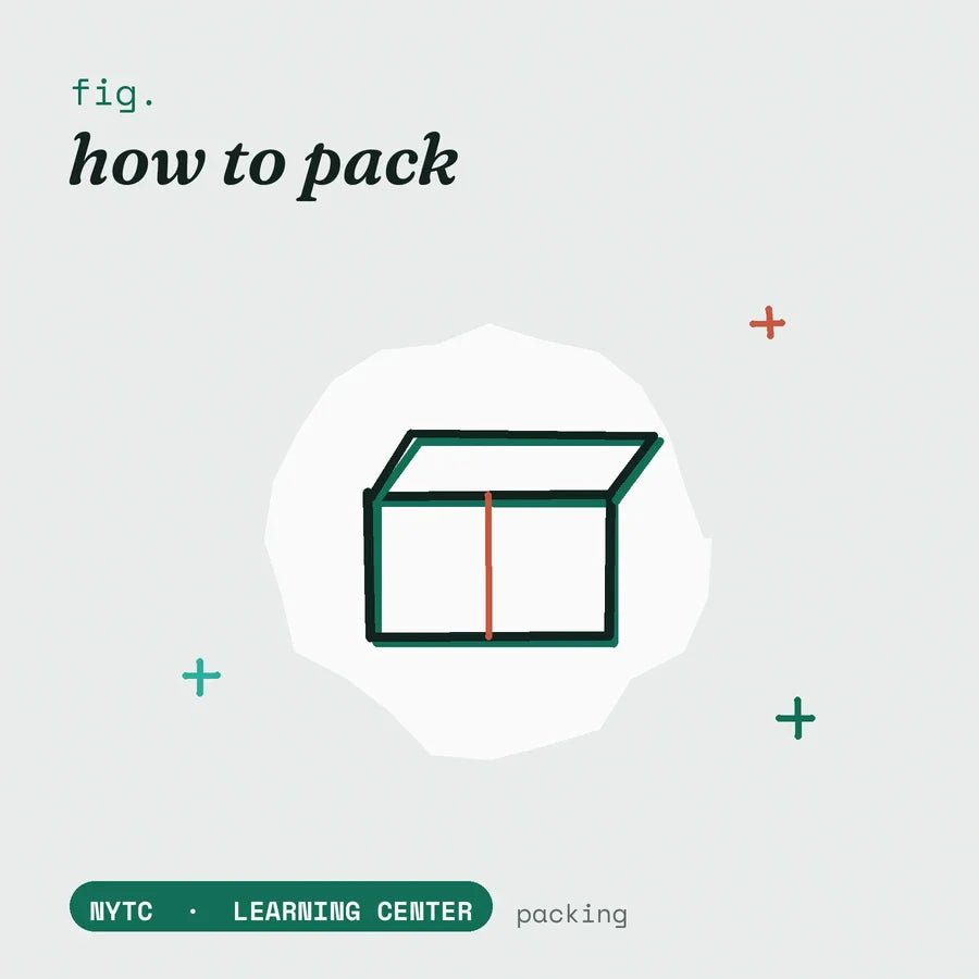 How to pack for the first time — hand-drawn fig plate, NYTC Learning Center