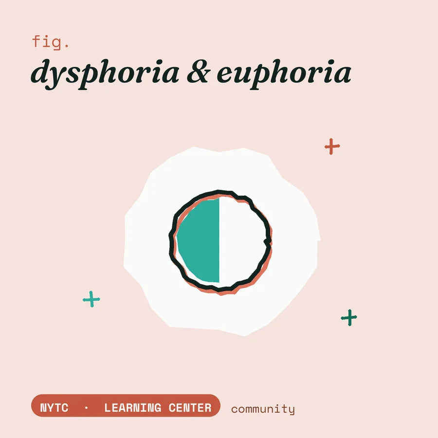 Gender dysphoria vs gender euphoria — hand-drawn fig plate, NYTC Learning Center