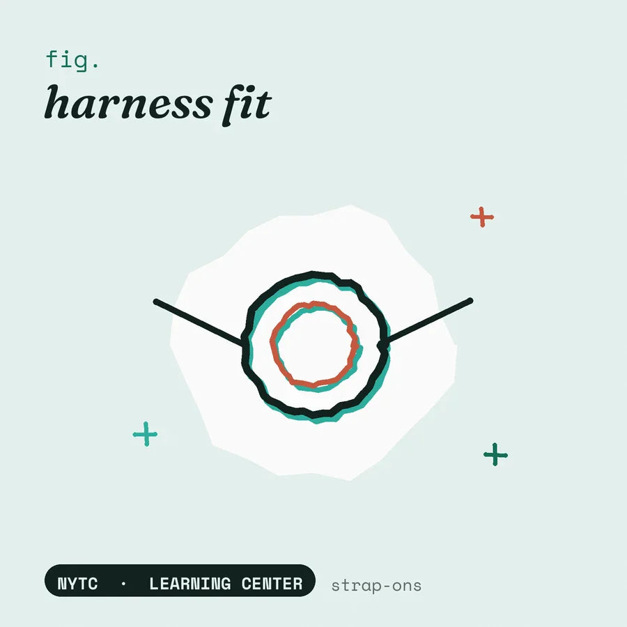 Harness fit guide — hand-drawn fig plate, NYTC Learning Center