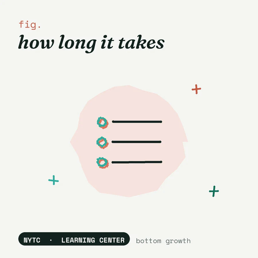 How long does bottom growth take — hand-drawn fig plate, NYTC Learning Center