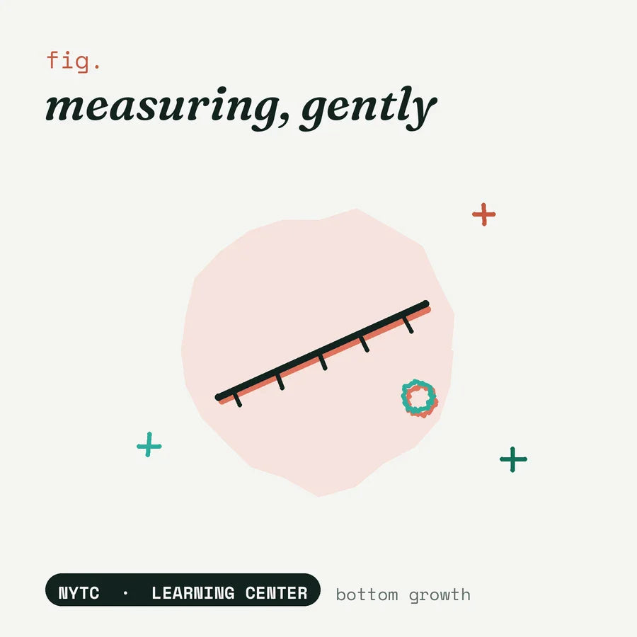 How to measure bottom growth — hand-drawn fig plate, NYTC Learning Center