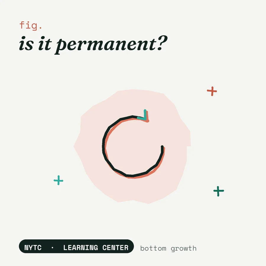 Is bottom growth permanent — hand-drawn fig plate, NYTC Learning Center