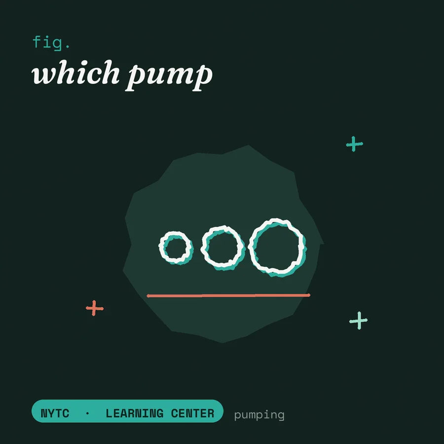 Trans Masc Pump comparison — hand-drawn fig plate, NYTC Learning Center
