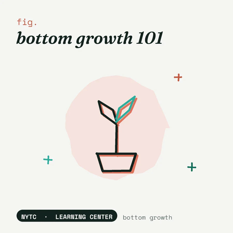 What is bottom growth — hand-drawn fig plate, NYTC Learning Center