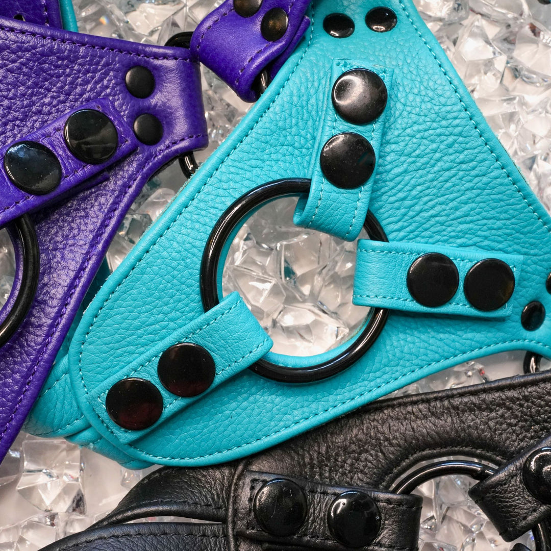 Carter Strap-On Kit | Signature Leather Harness