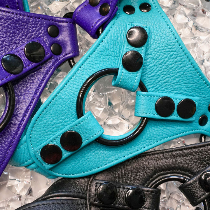 Carter Strap-On Kit | Signature Leather Harness
