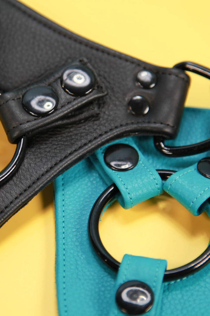 NYTC signature leather harnesses in black, purple and turquoise