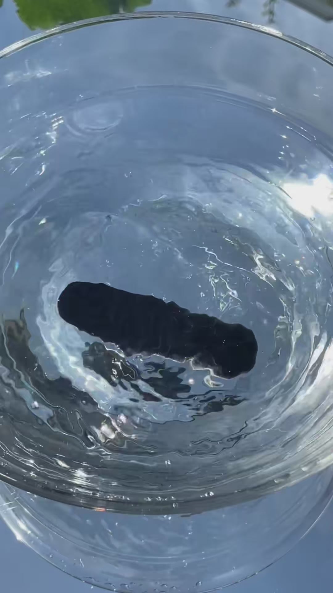 The OG Bullet Vibe | Rechargeable 10-Speed Vibrator